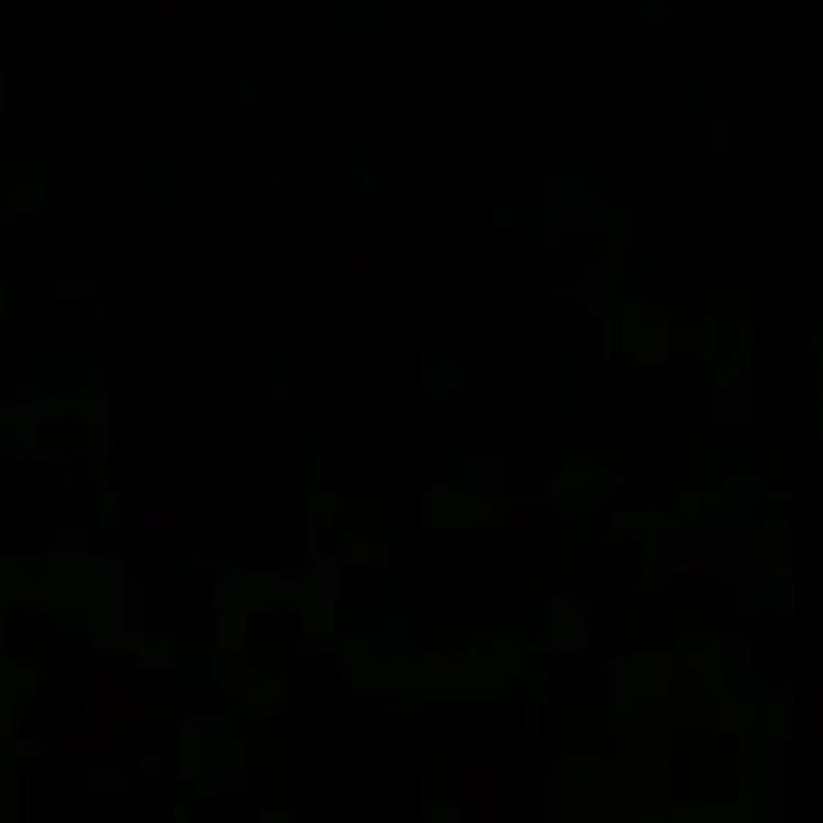 Lzblzrw