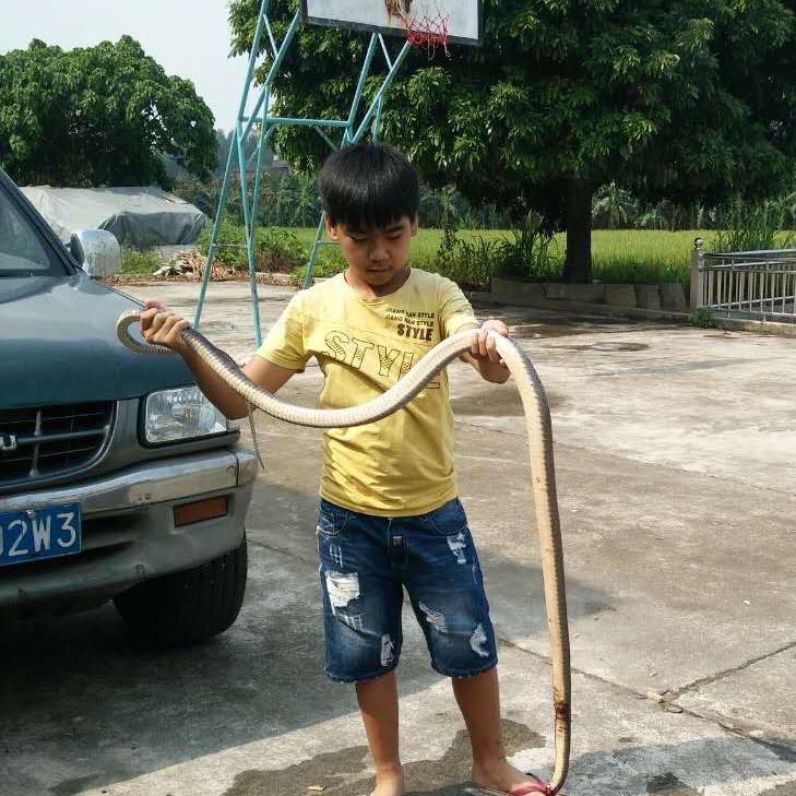 啊.