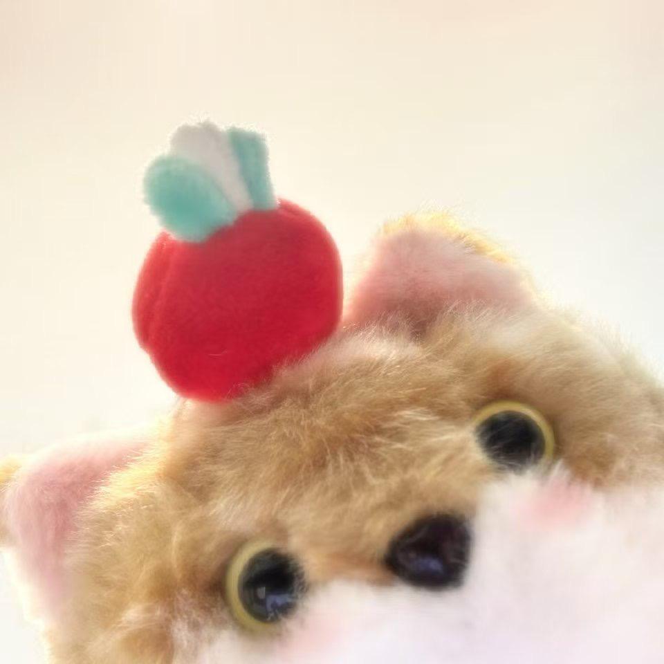伶伶·追星版