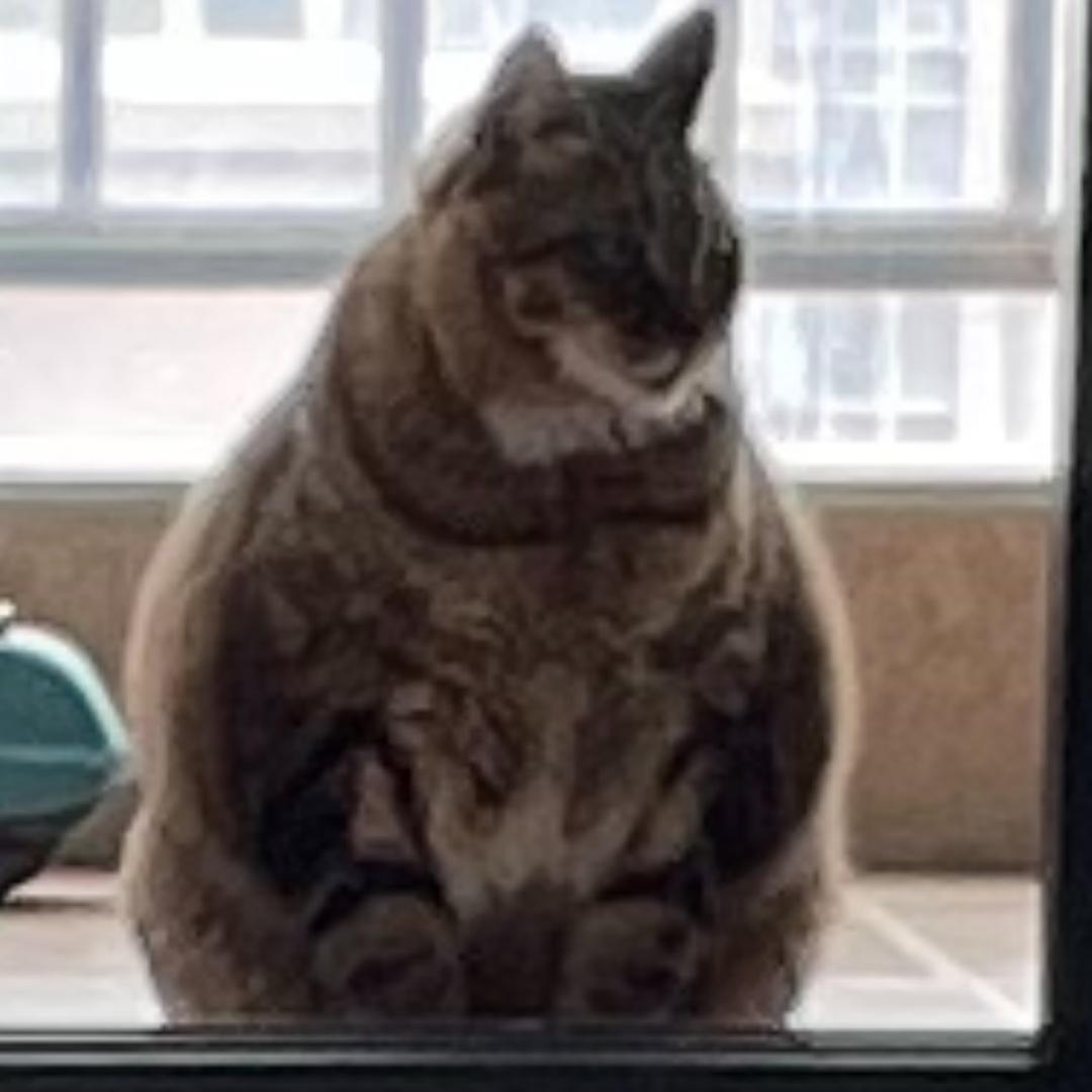 万万万老板