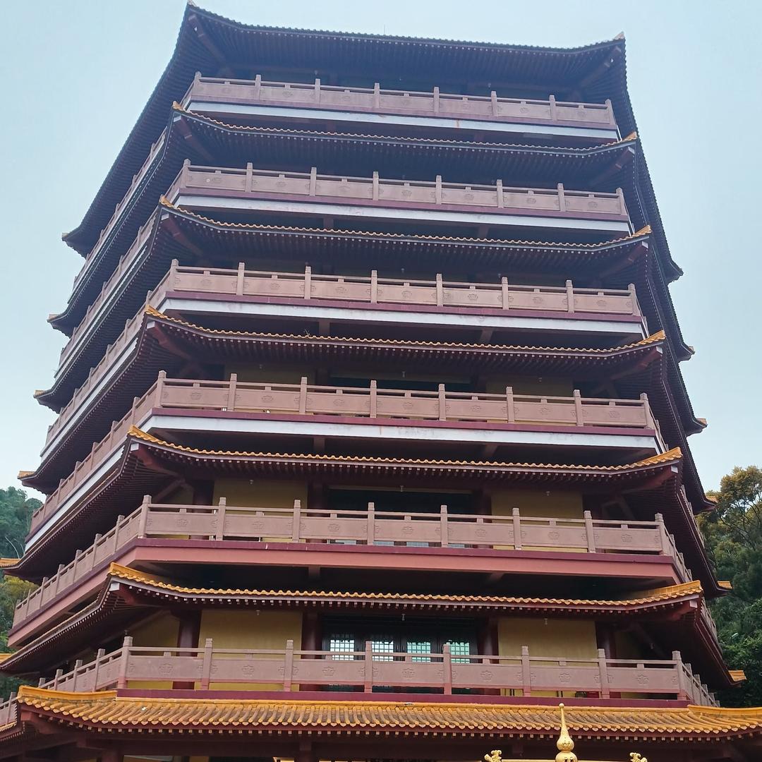 飞龙在天