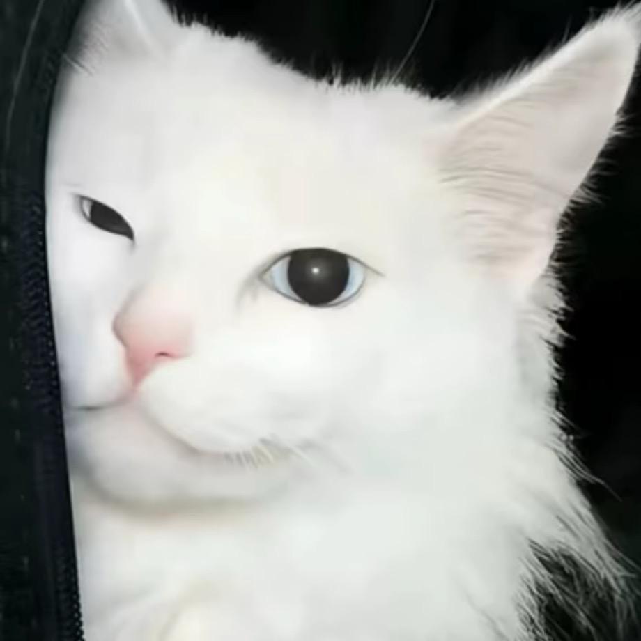 @_18