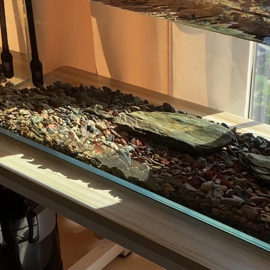 茵茵家(养水养鱼）