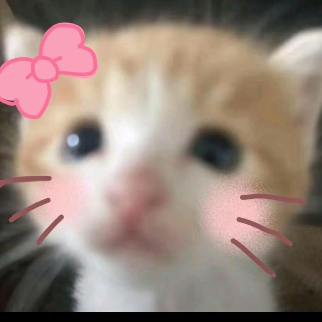 ᴖᗜᴖ