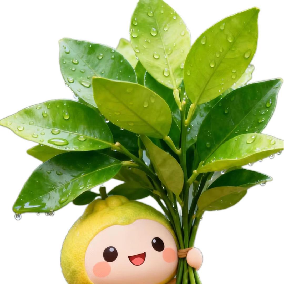 不发脾气只发财