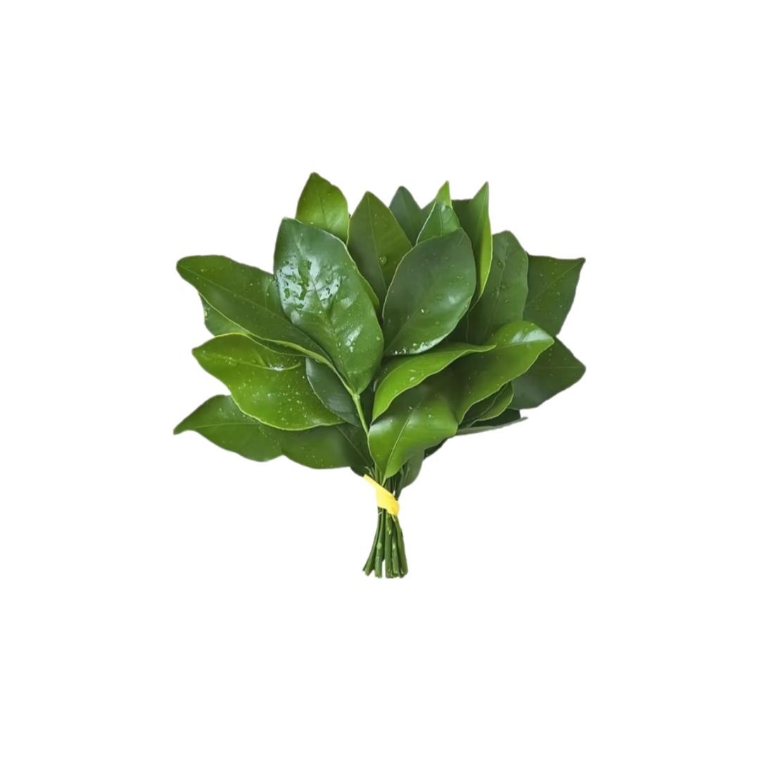 小翼