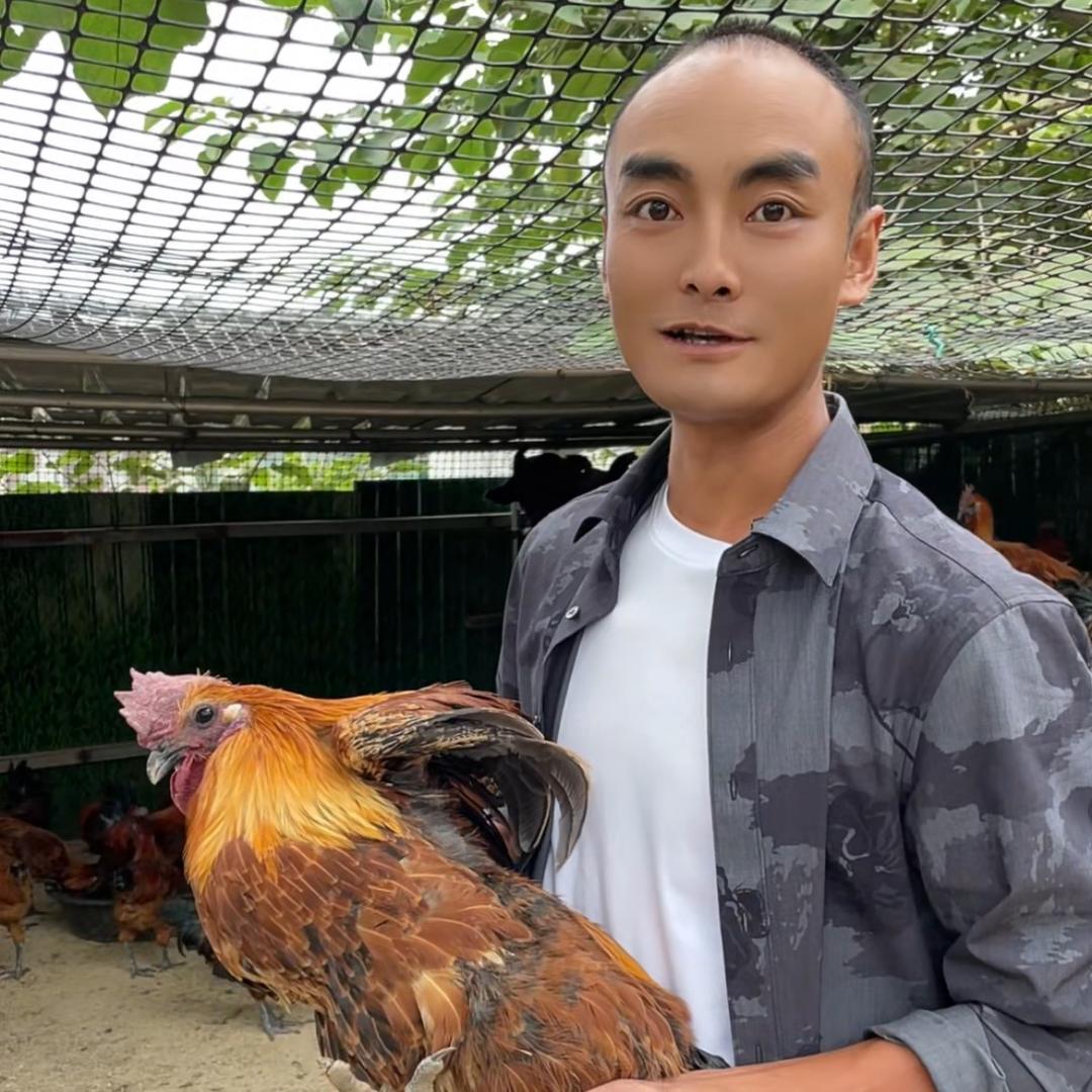弥渡-永平财哥辣子鸡