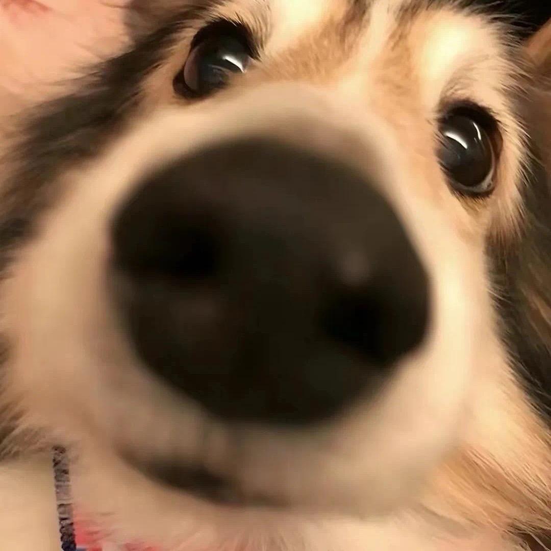 颠覆