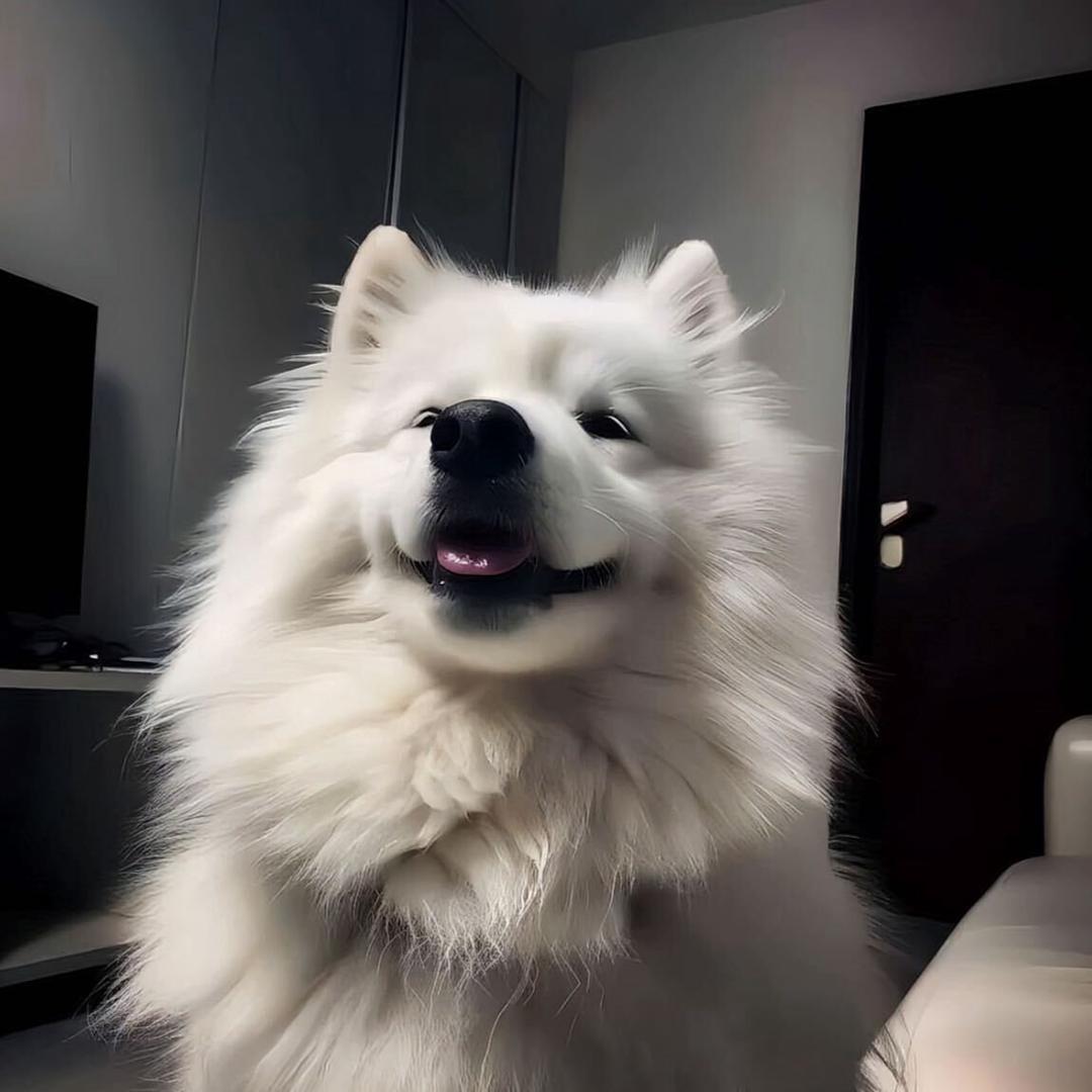 哆哆想睡觉