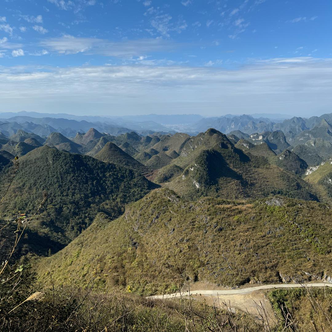 周哥臻选阁