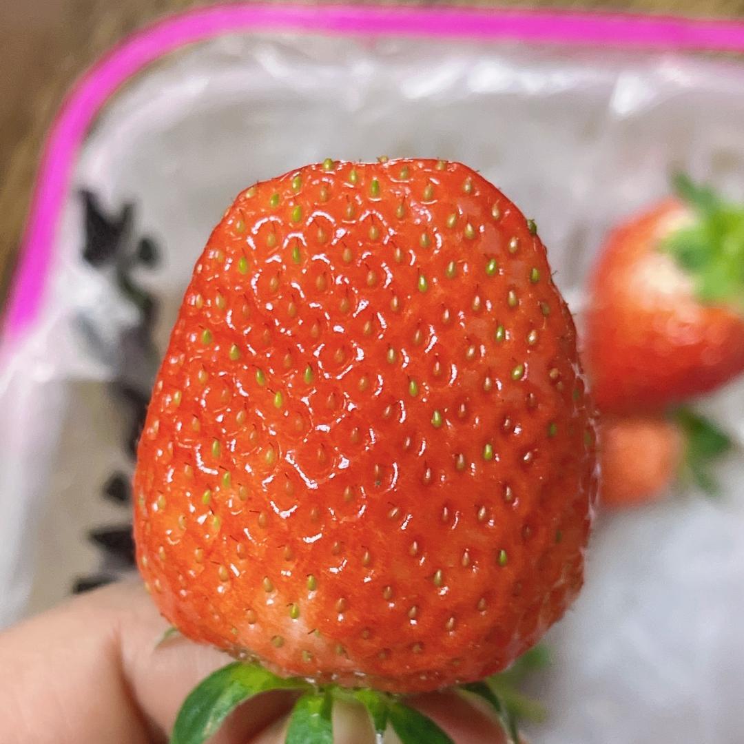红姐橱窗推荐