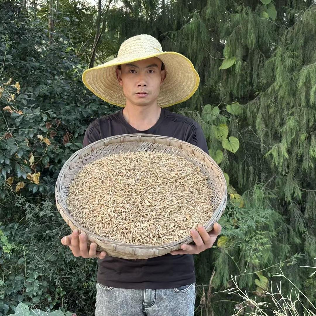 沫白铺子唐海燕的多元好货店