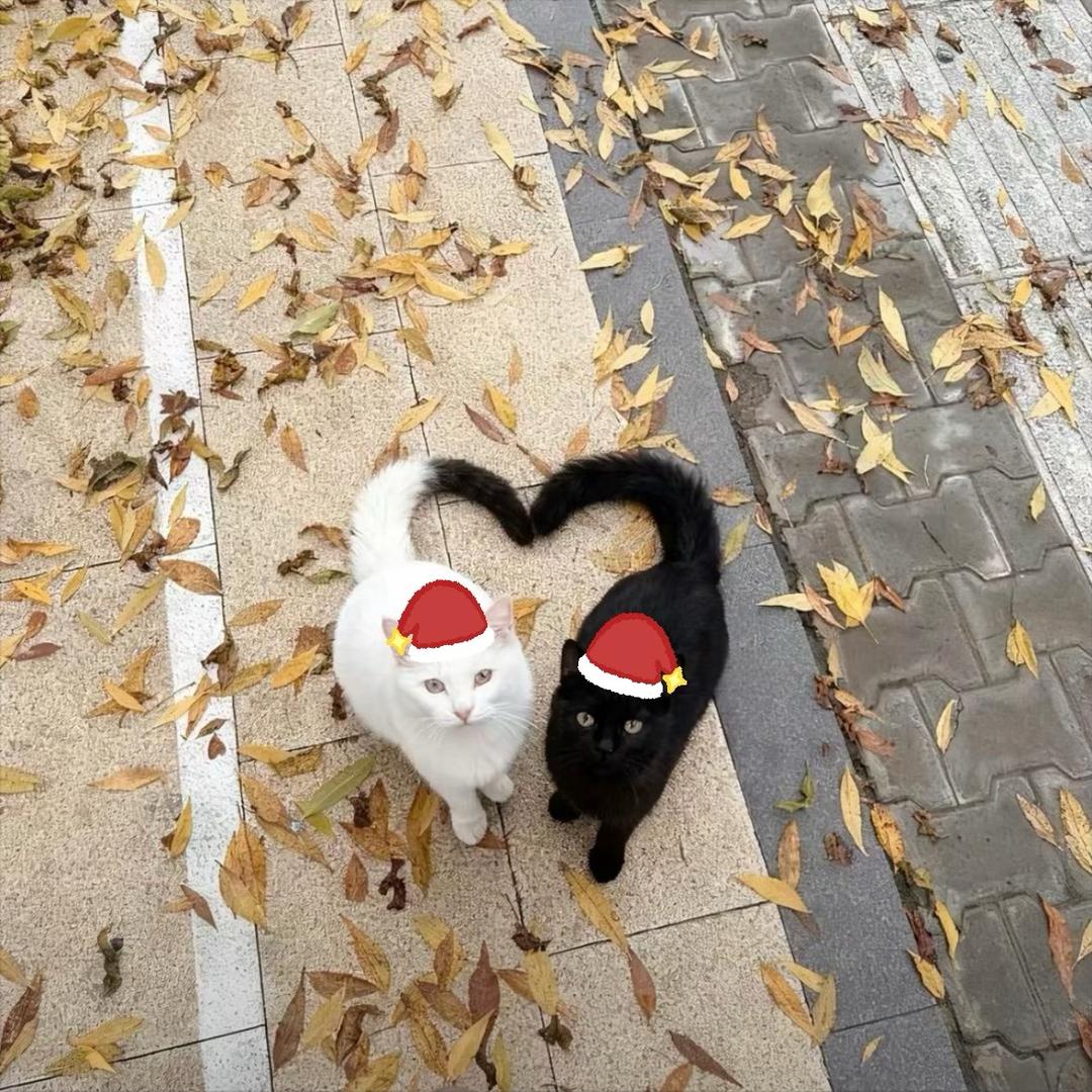 不知道说什么_