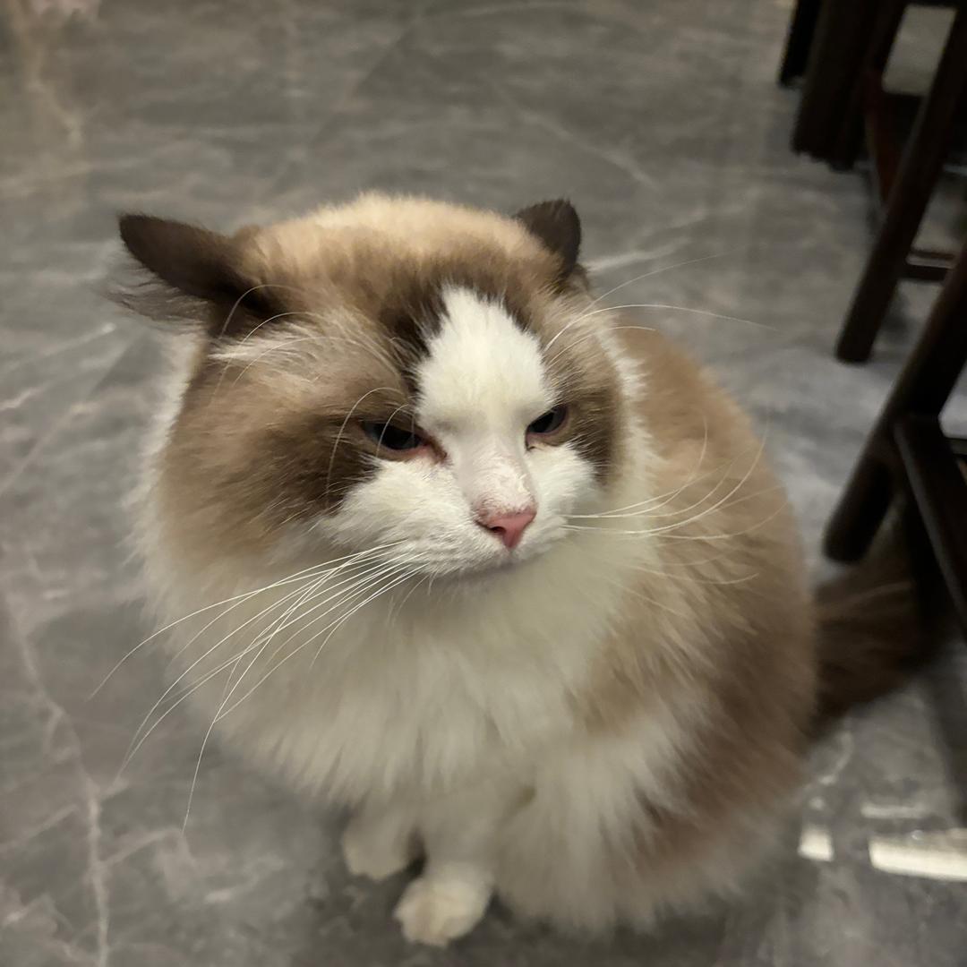 说那么多，也没什么用。