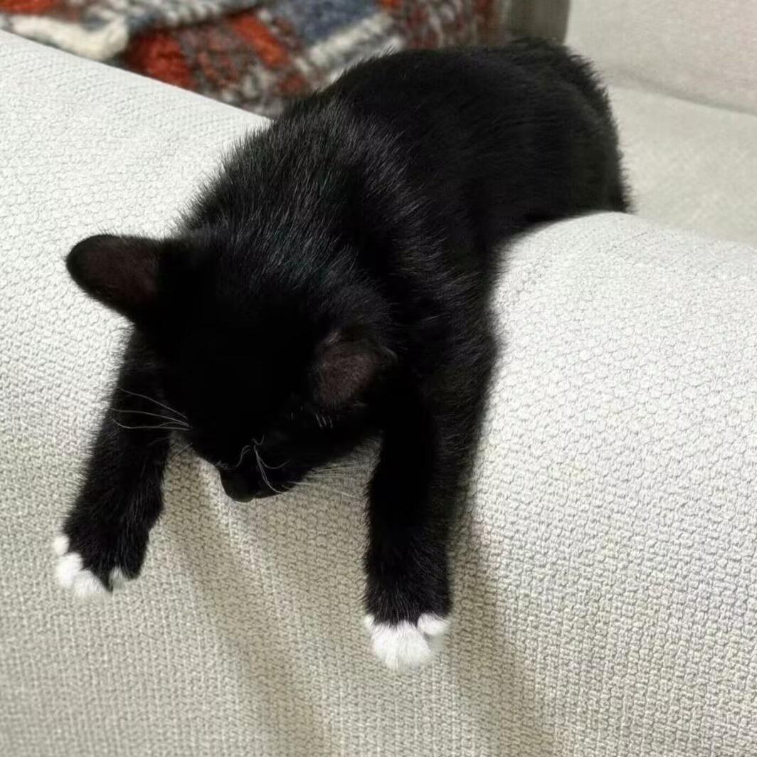 要是我不存在于这个世上