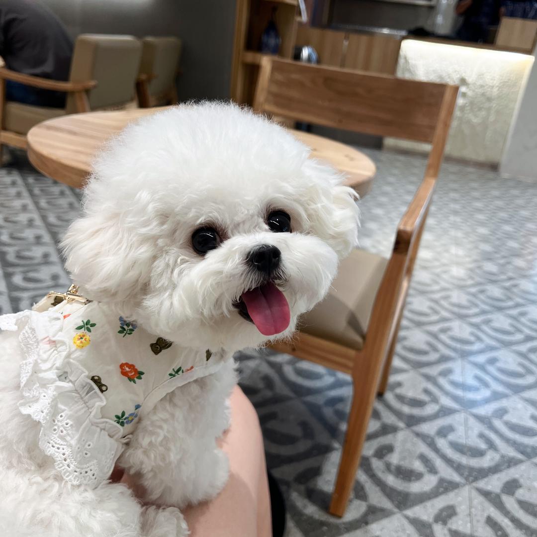 小熊Kiki