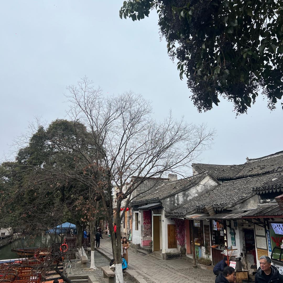 年愁的今夜