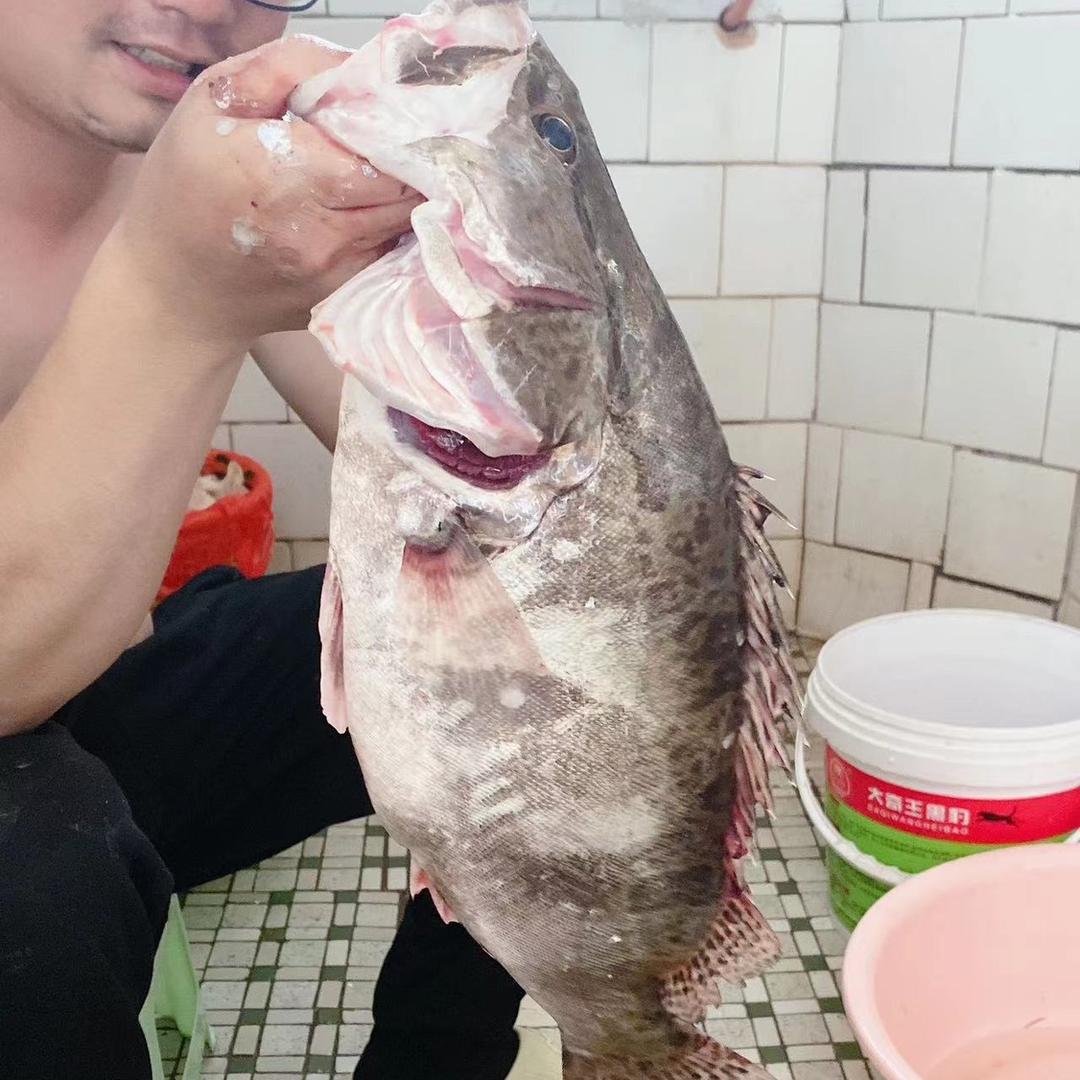 🌈路亚🎣鳜人