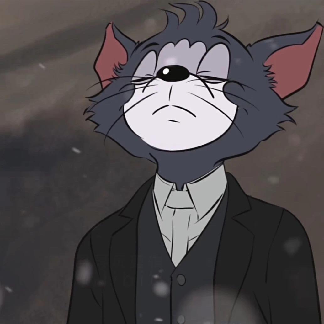 巷子里的猫.