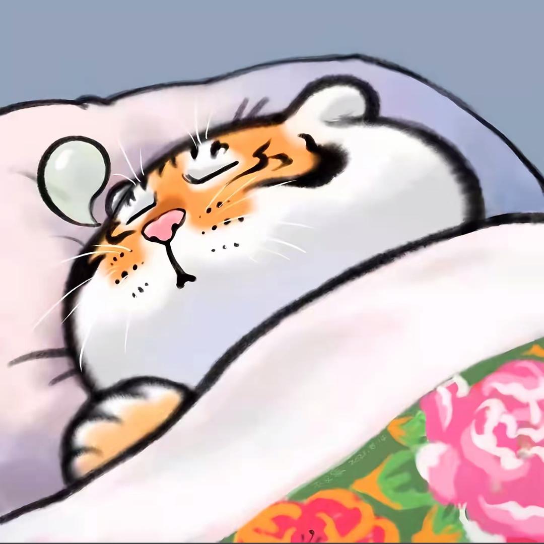 一碗Xiaomi