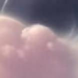 Ngdtjc