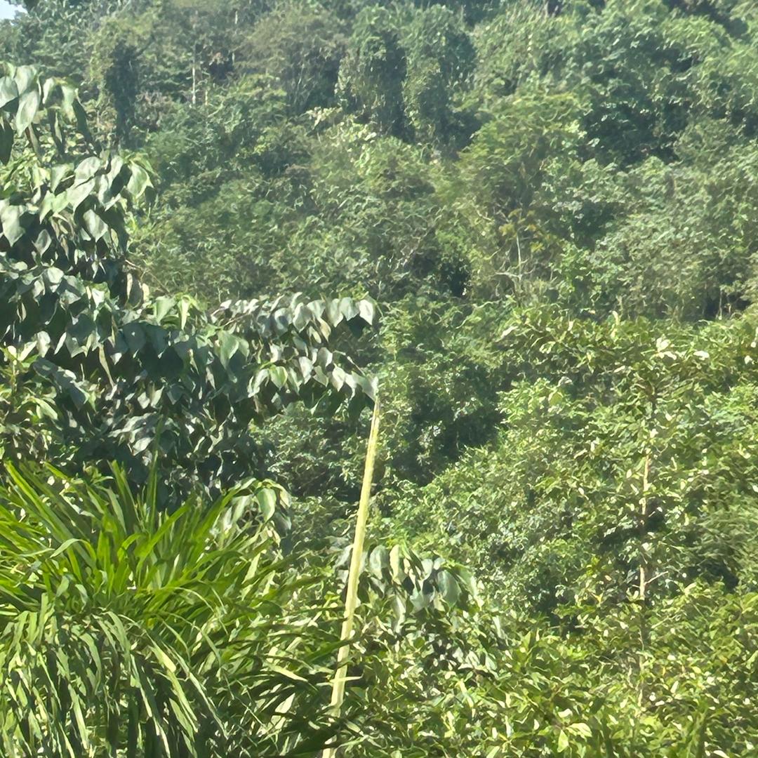 鑫鑫山货
