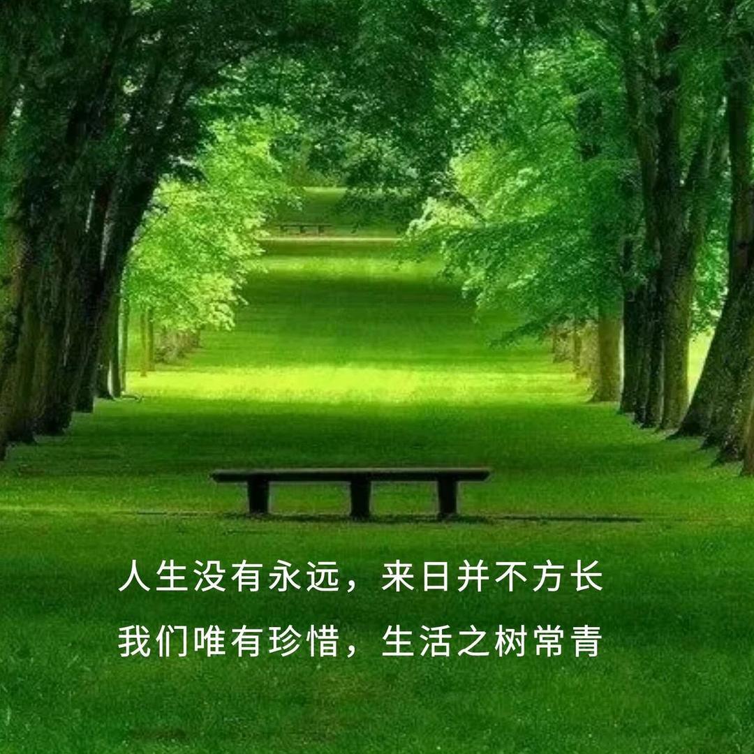 一溪水