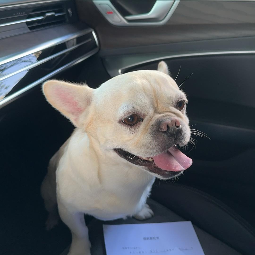 追光者✨先办事的光哥，个人、正❤️处理