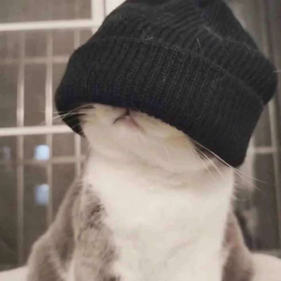 谙