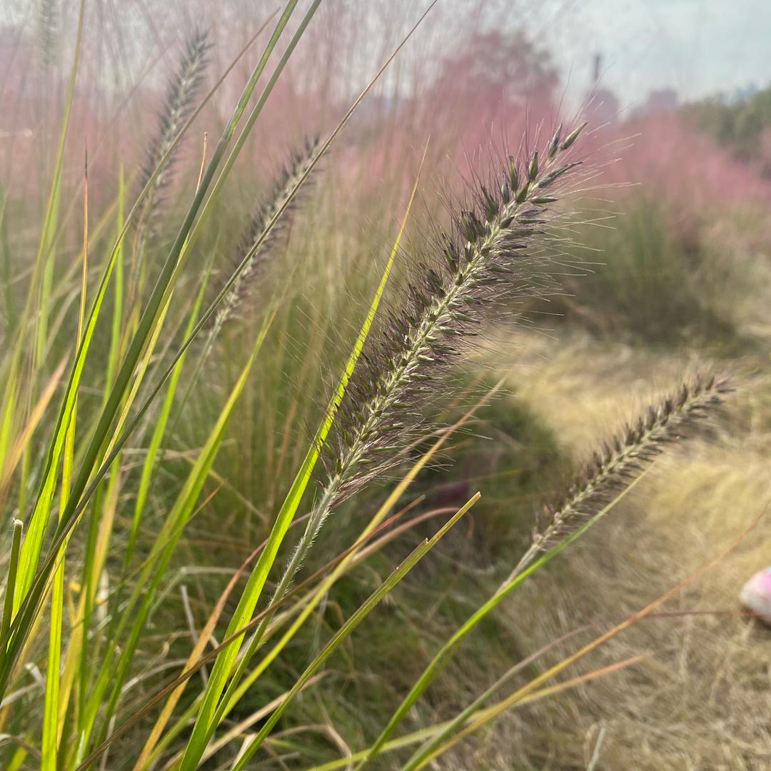 乔大庆在努力呀🤗