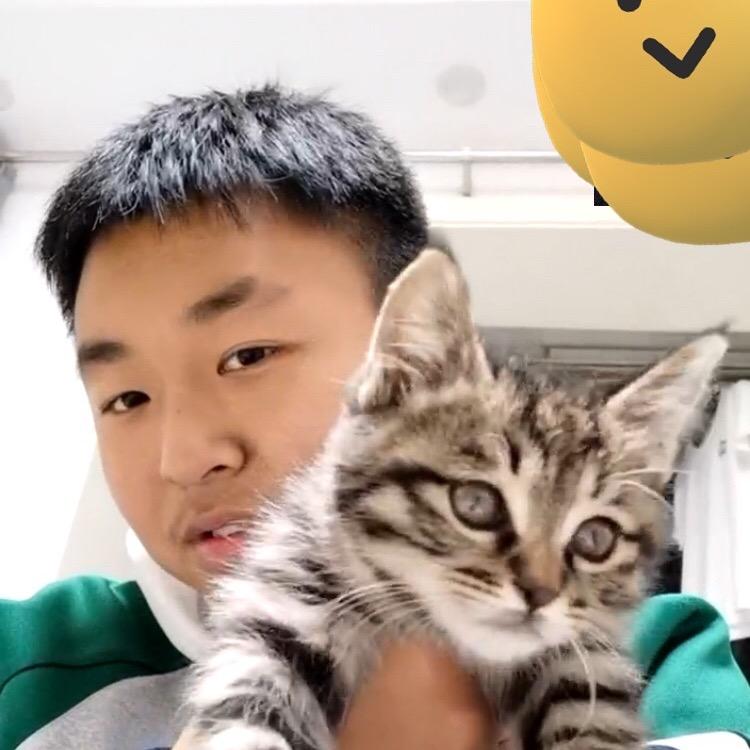 娟儿