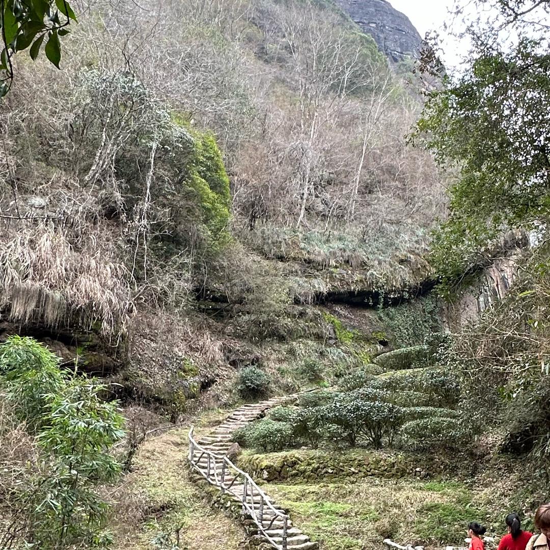 之？这。。这种