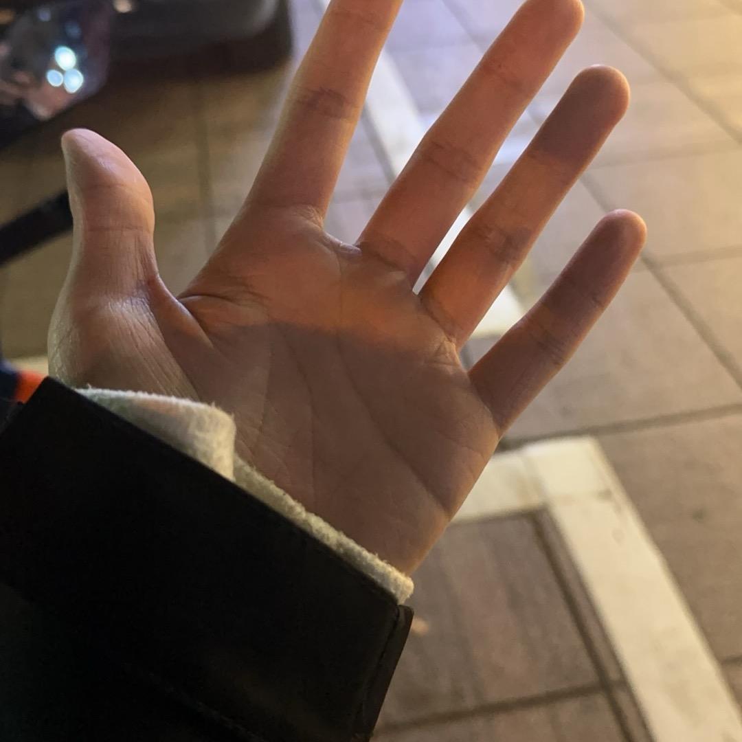 挡道的好狗