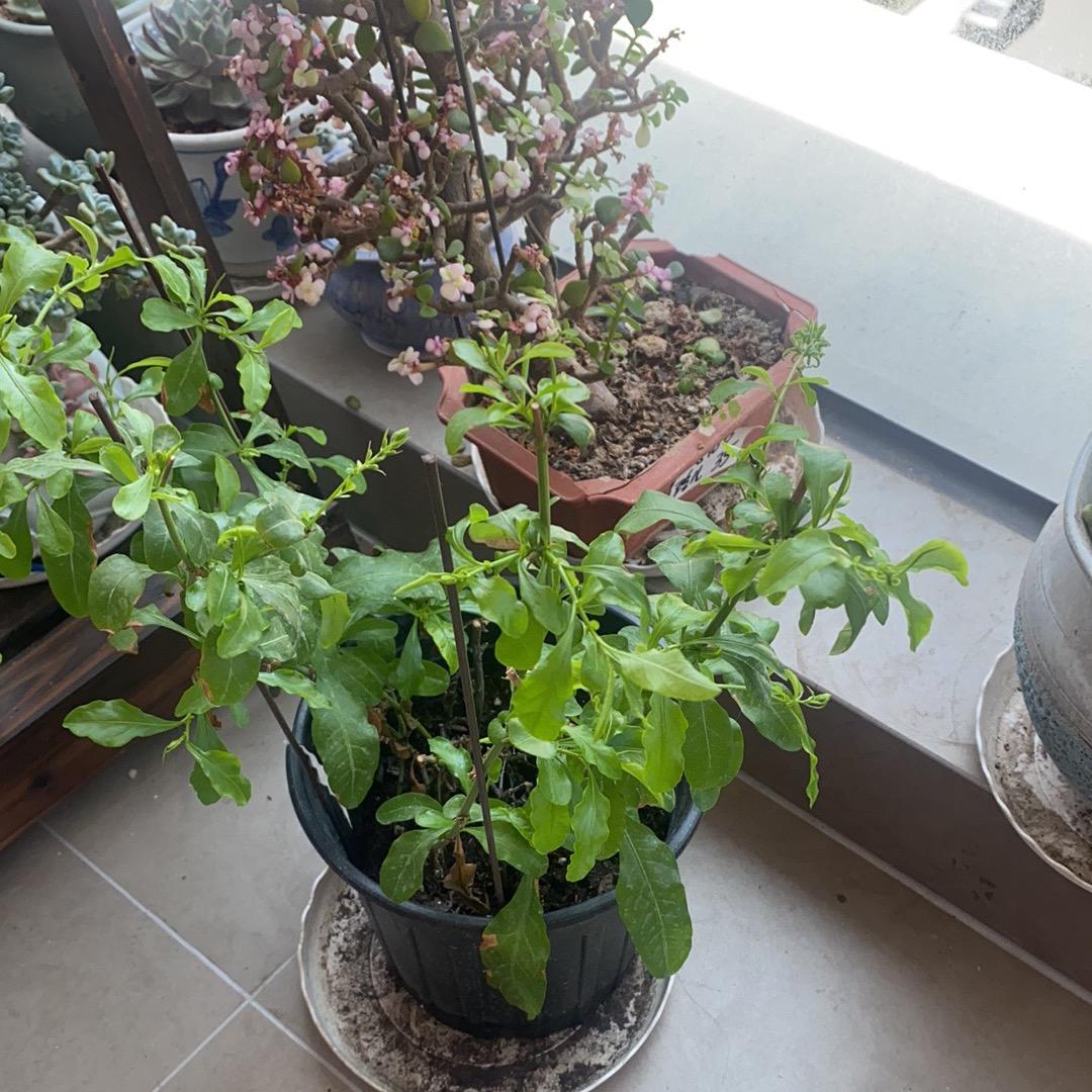 珍惜眼前  活在当下