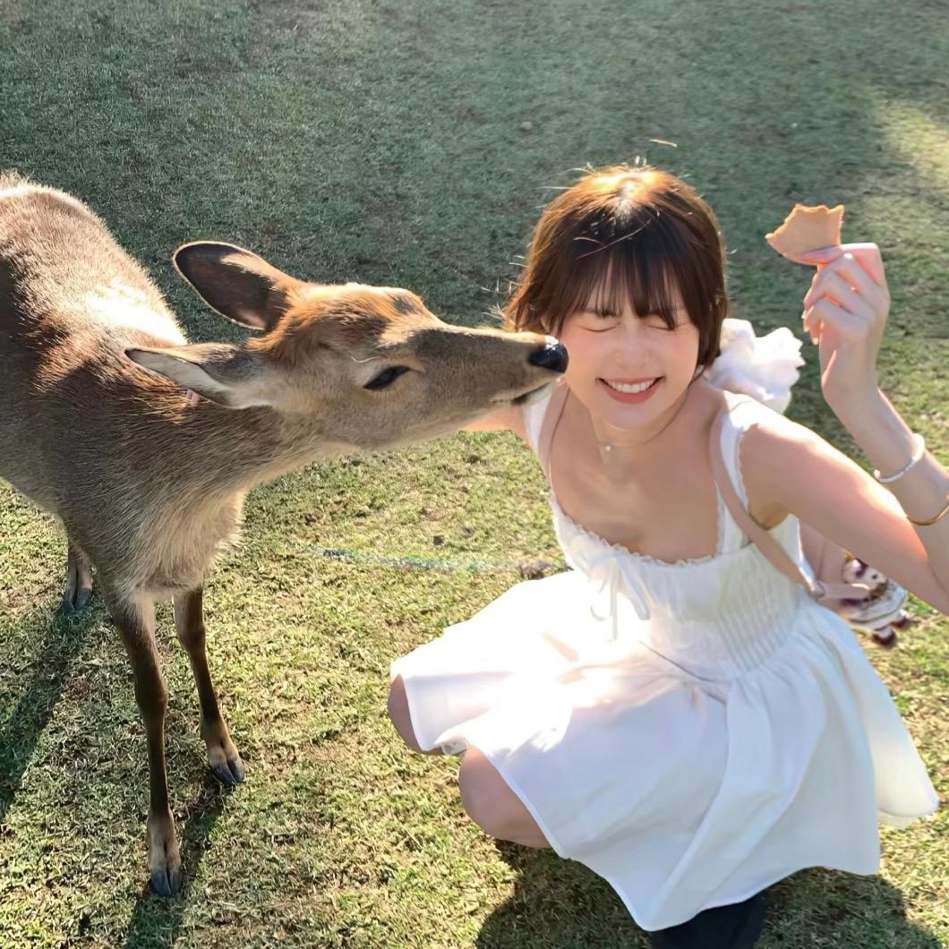 元气小羊🐏