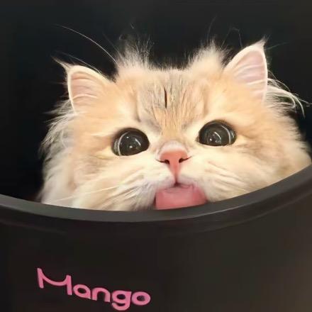 梅纹化