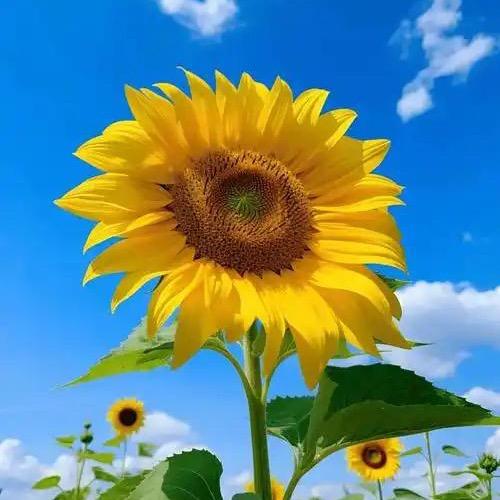 福满满好物分享