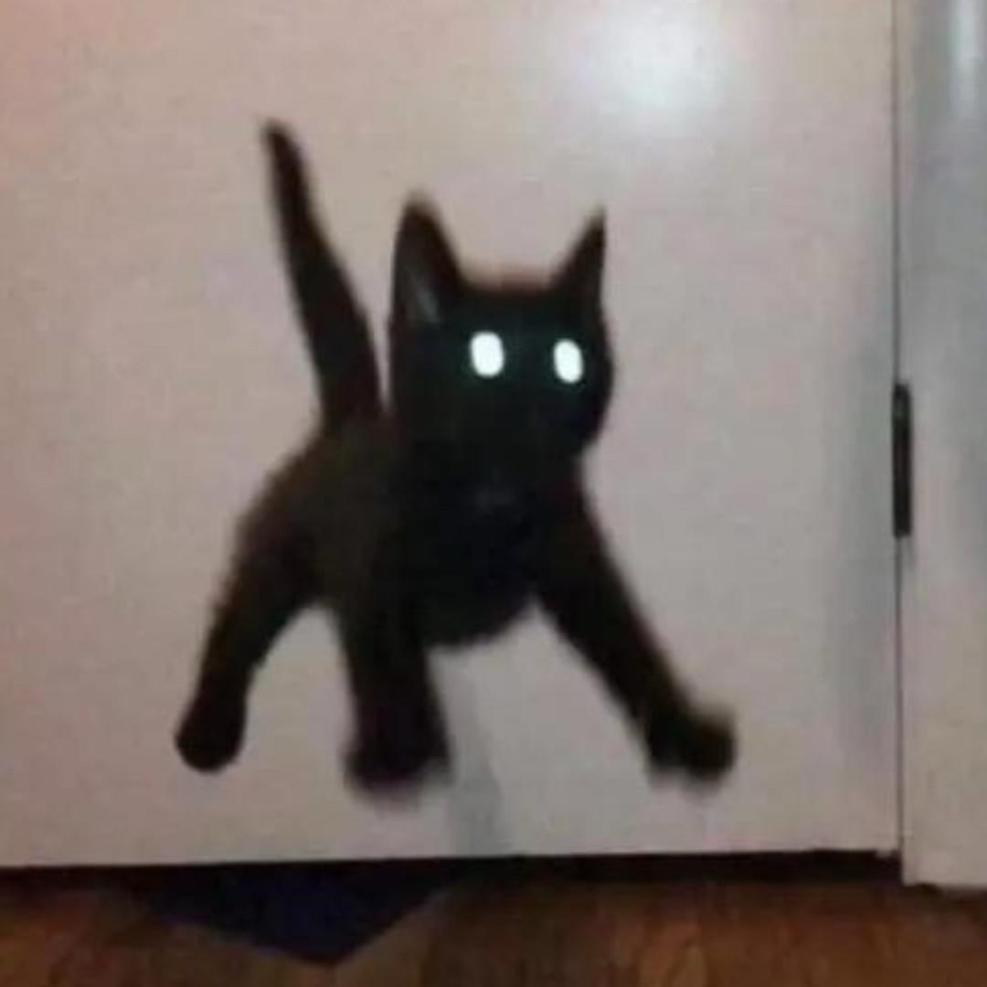 7718