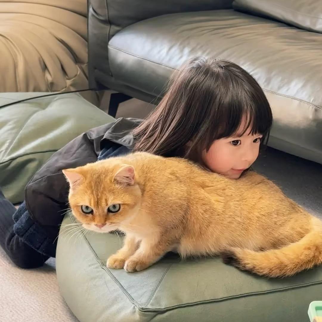 胡天荠