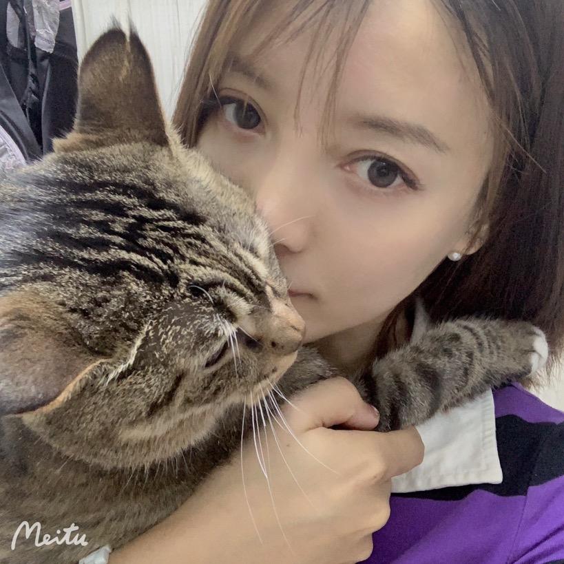 @溜达猫孙豆丁