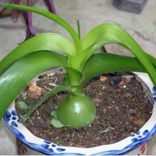 梦境