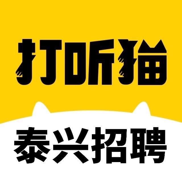 泰兴打听猫