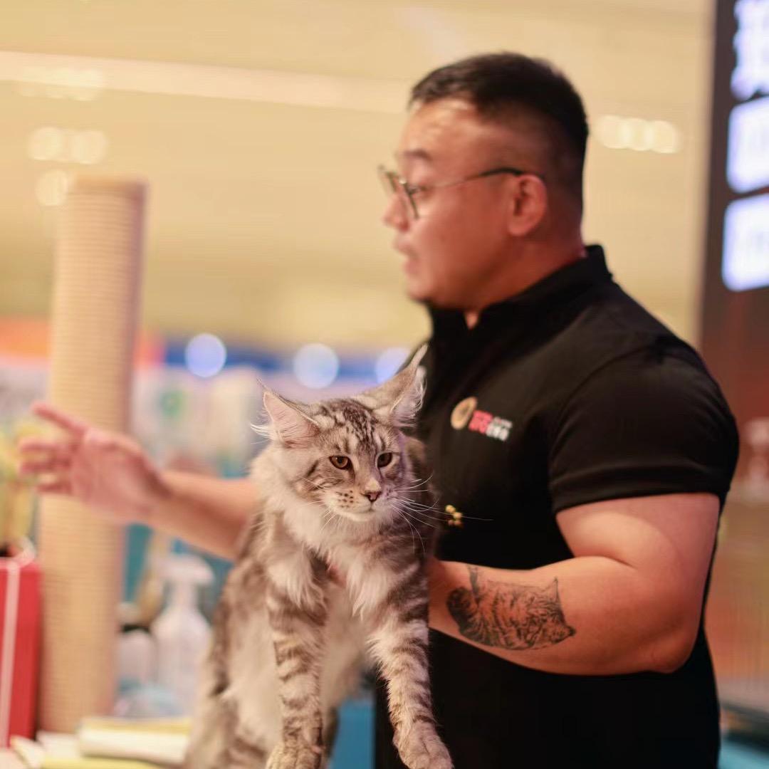 川猫（粉丝猫咪品鉴）