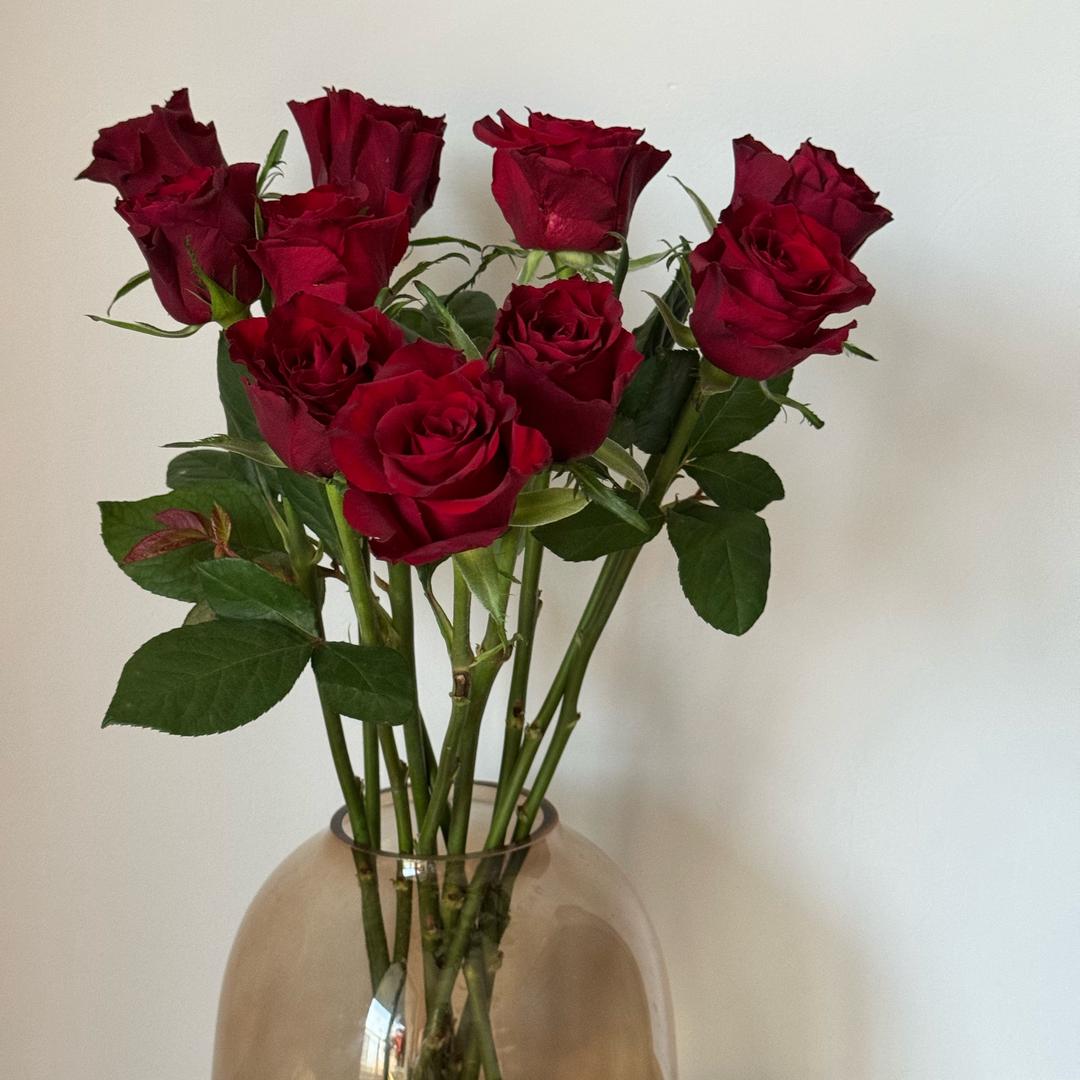 慌张小姐👱🏻‍♀️（努力版🎓）