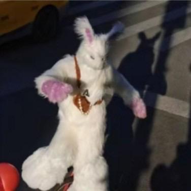 多米诺 杭州酒吧营销