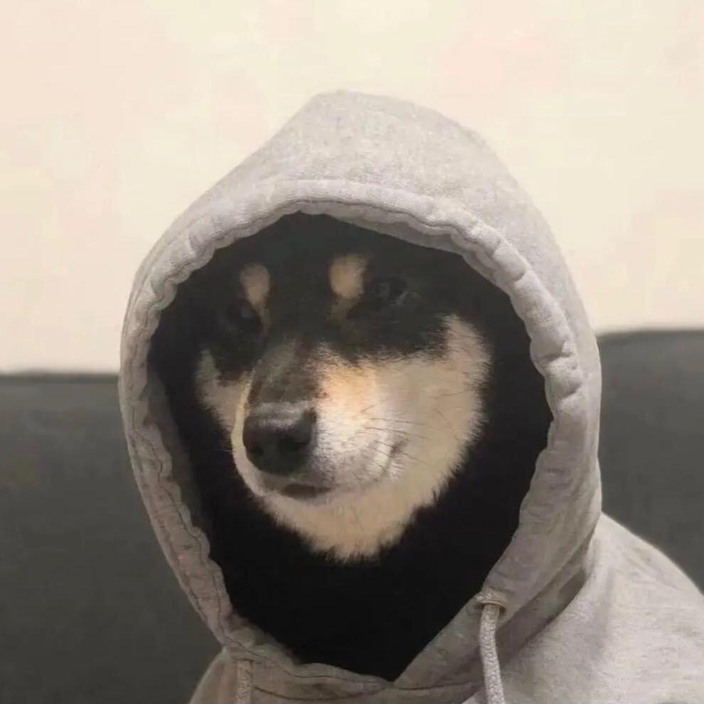 🍃一叶方知秋意寒