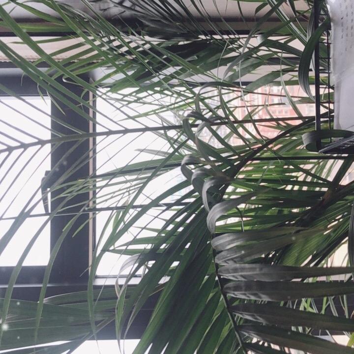 你好不错