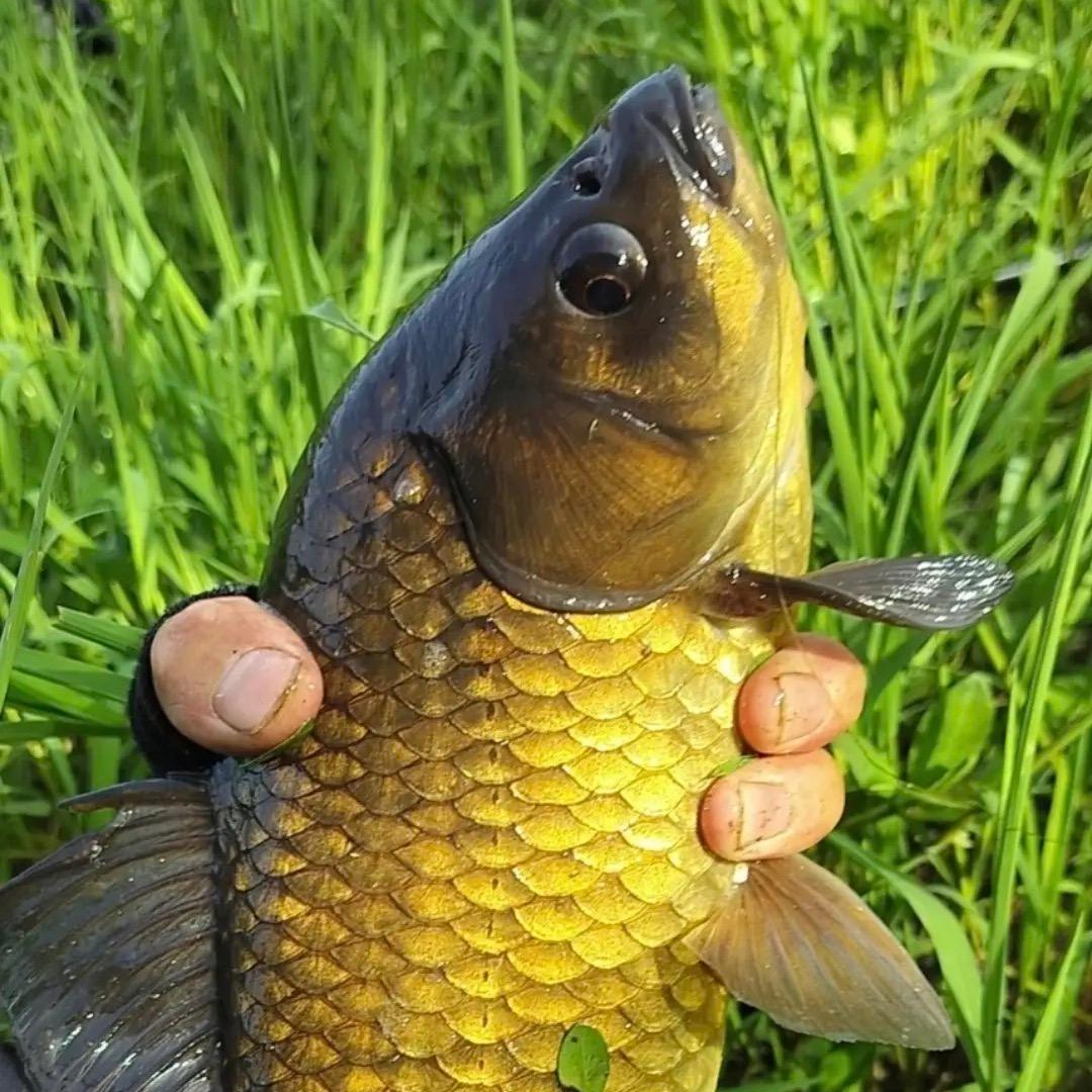 渔乐🎣渔具（橱窗营业中）