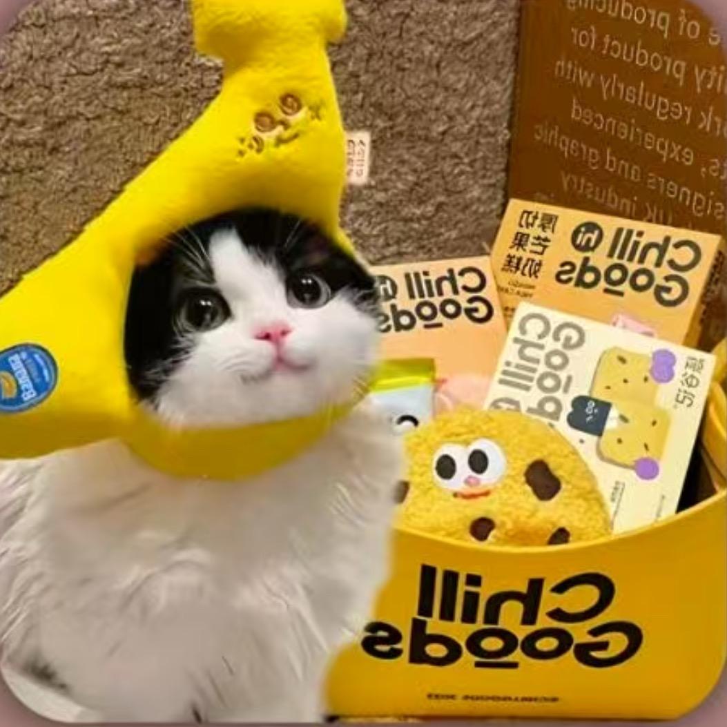 骑着白熊追宝宝.