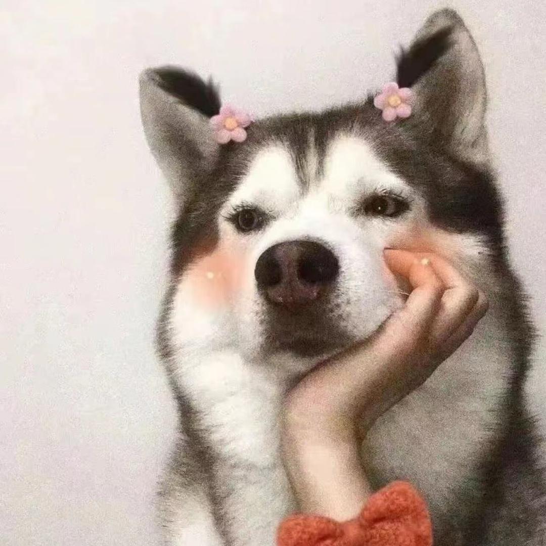 伟子的快乐日常